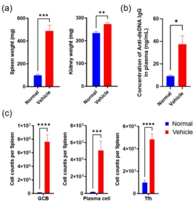 Figure-3_v-2-Blog_SLE-Drug-Discovery-using-Short-Term-BM12-Mouse-Model