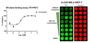 fig 2 ER blog