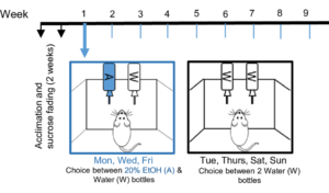 figure 1 addiction blog