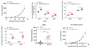 figure 4 HPV blog