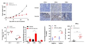 figure 5 HPV blog