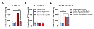 figure 6, addiction blog