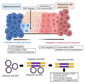 figure 1 HPV blog