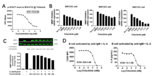 fig 4 jak-stat blog