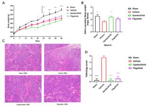 fig 8 jak-stat blog