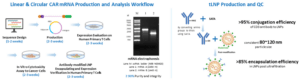 fig 4 car-t blog